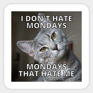 Monday Cat Sticker
